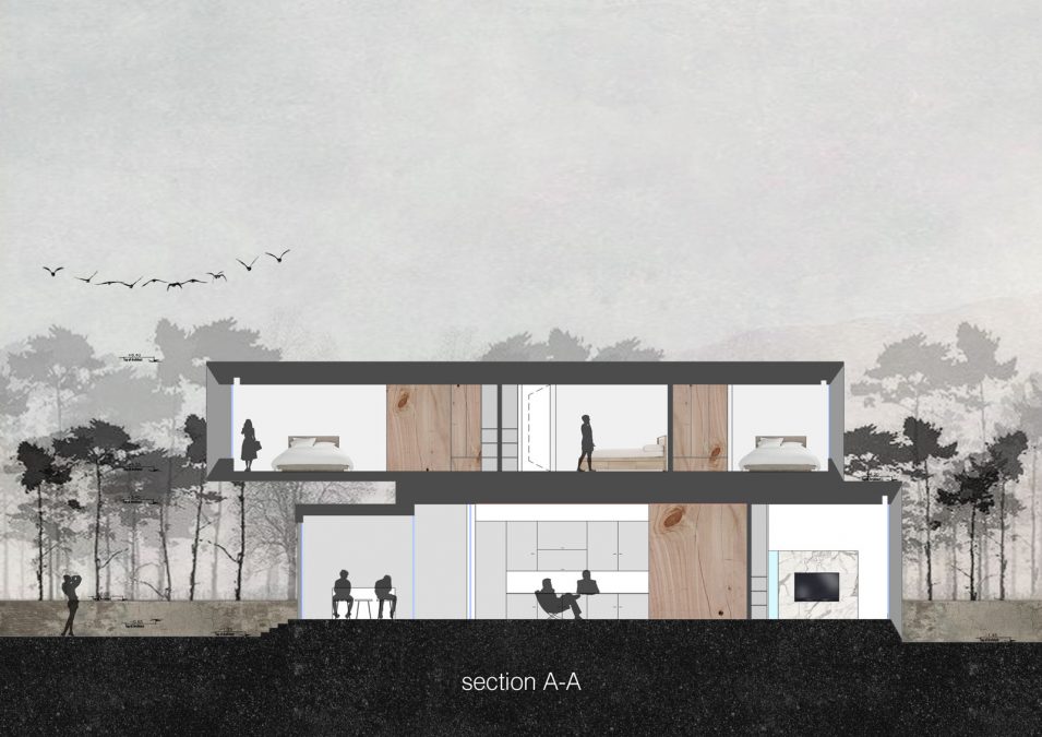 Architecture - cedrus - section - villa