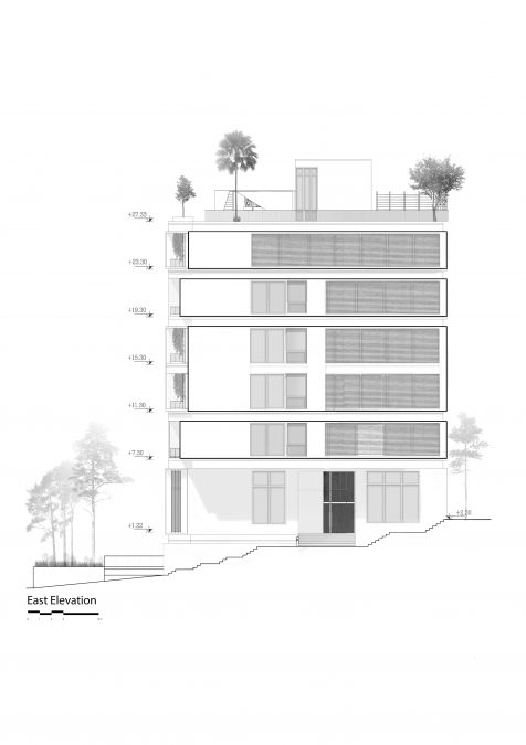 sepinood-elevation-cedrus architecture